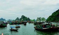 Soc Trang turns sea-borne economy into major pillar