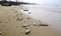Central provinces assess Formosa environmental damage