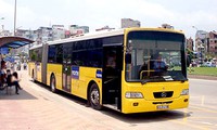 Danang to operate new bus routes