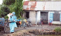 HCMC authorities examine living and working environments of Zika victims