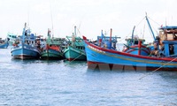 12 Vietnamese fishermen arrested by Malaysian authorities
