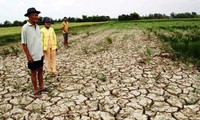 EU provides 90,000 EUR to assist drought-hit communities in Vietnam