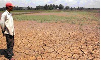 Binh Dinh Province spends $500,000 in drought and salinization relief