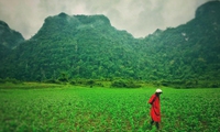 Hollywood crew’s Vietnamese landscape photos wow internet viewers