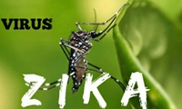 Vietnam raises warning level for Zika virus