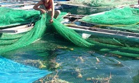 Support measures for lobster farming
