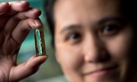 Vietnamese-American discovers formula for lifelong batteries