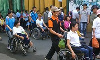 Committee to highlight disabled issues established
