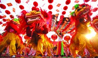 Lunar New Year celebration activities around Vietnam
