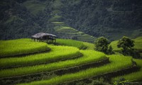 Photographers depict the beauty of Vietnam