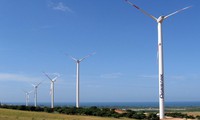 Wind power project in Bac Lieu province