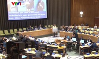 Vietnam attends UN's high-level political forum