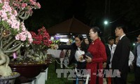 Spring flower festival opens in HCM City to welcome New Year