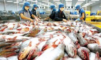 New barriers for Vietnamese pangasius fish