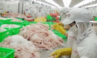 Vietnam objects to US tariff rate on frozen Tra fish fillets