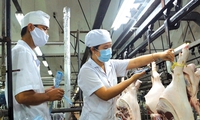 Ho Chi Minh city cracks down on pork with unknow origins