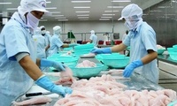Vietnam objects to US tariff rate on frozen Tra fish fillets