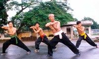 Vietnamese martial arts influence in Belgium