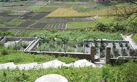 Application of dewats water system in Vietnam