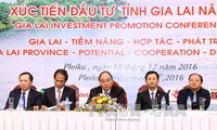 Prime Minister urges incentives for investors in Gia Lai