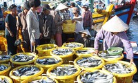 Fishermen start year with bumper catch