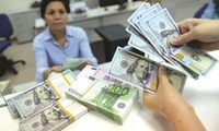 Alarm over foreign currency lending growth