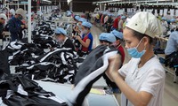 Fast fashion challenges VN firms