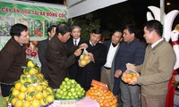 Festival promotes Bắc Giang fruit industry
