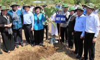 IPU representatives visit Can Gio mangrove forest