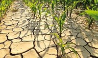 Climate change threatens food security