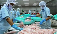 Seafood export see good prospects in 2017