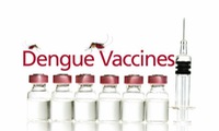 Dengue fever vaccine tested