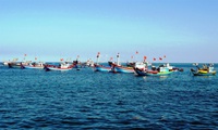 Mard reports on Vietnamese fishing boats seized by Indonesia