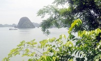 Soi Sim Island - An attractive destination
