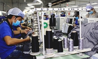 Enhancing Vietnamese labor productivity