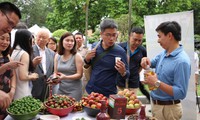 Vietnam, Australia cooperate to build resilient agriculture