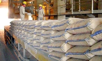 Six-month cement exports expand 50% year-on-year