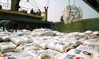 Glutinous rice price surges