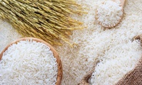 Regulations on use of the Vietnam rice brand