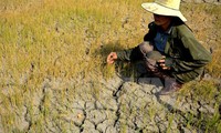 Quang Binh faces severe drought
