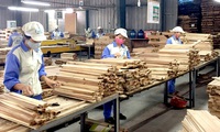 Ample space for wood processing and export
