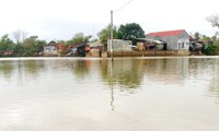 Floods threaten dykes in Binh Dinh
