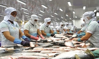 Vietnam's seafood sector successfully reverses U.S' anti-dumping duty