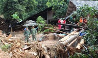 Vietnam promotes disasters mitigation capability