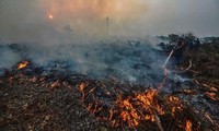Indonesia sends thousands of security personnel to combat forest fires