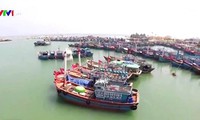 Measures to remove yellow card against Vietnamese fisheries