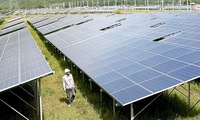 Development plan 8 promotes renewable energy