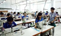 Cooperation in vocational training remains loose