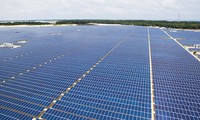 Gia Lai province inaugurates new solar power plant