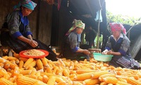 Vietnam focuses on sustainable poverty reduction